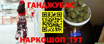 молекула духа Будённовск