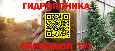 spice Бузулук