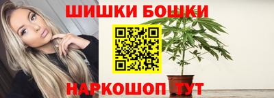молекула духа Будённовск